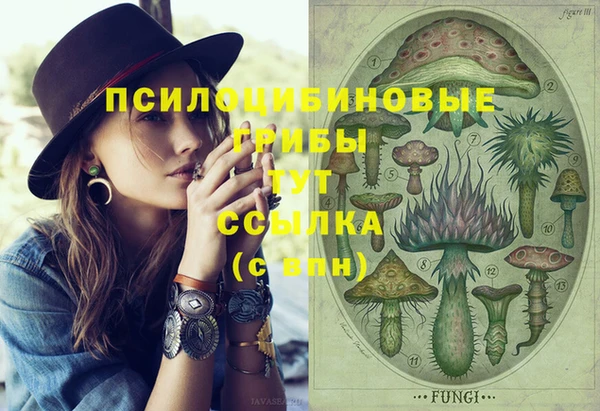 мдпв Бронницы