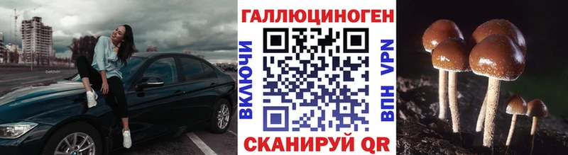 Псилоцибиновые грибы мицелий  OMG   Мурманск 